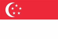 新加坡 队徽